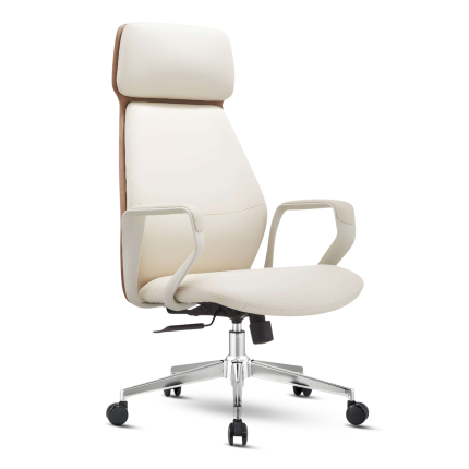 MAXX-IP-605-W