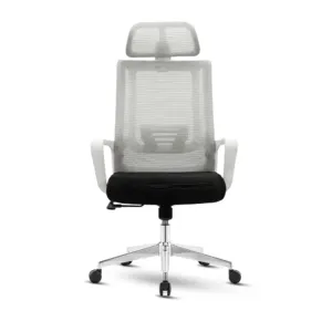 MAXX-M-239 - Image 3