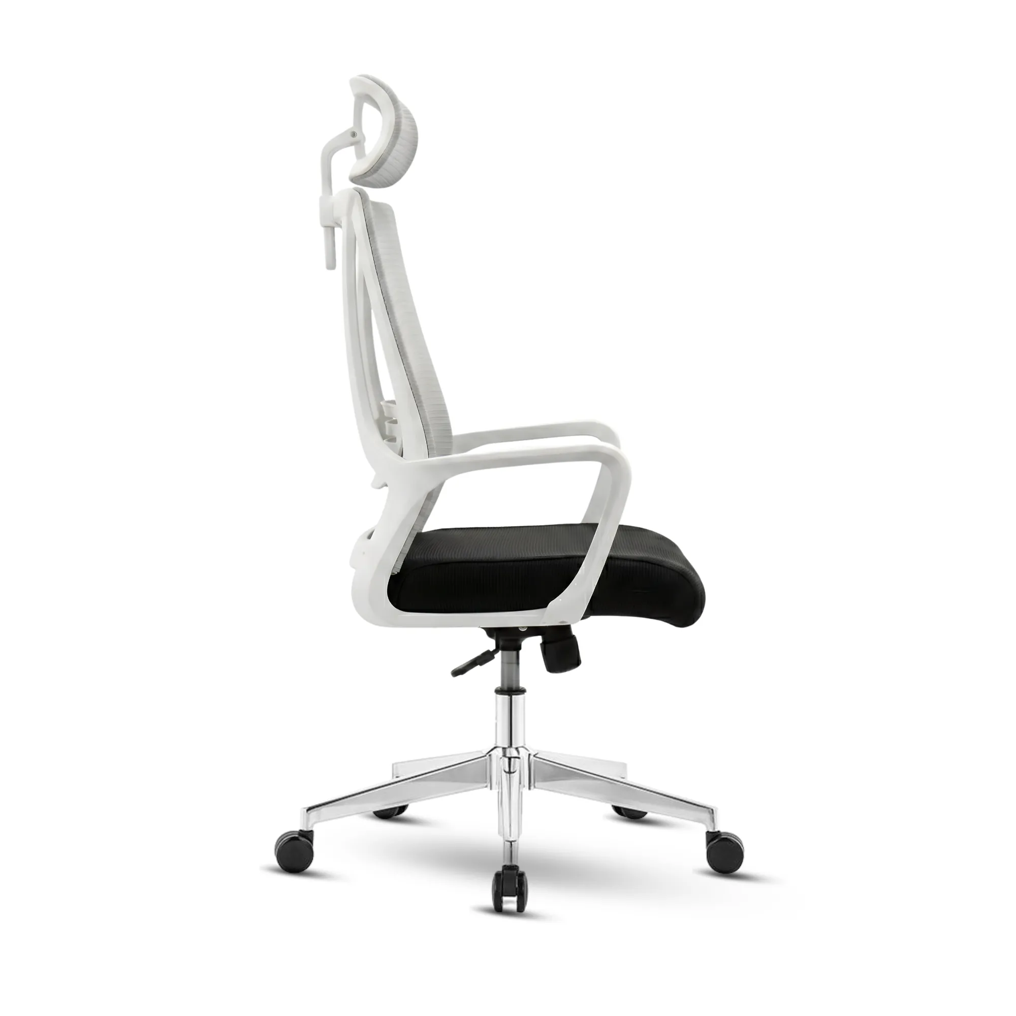 MAXX-M-239 - Image 5