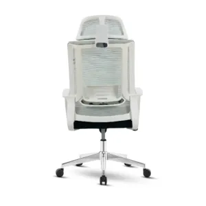 MAXX-M-239 - Image 7
