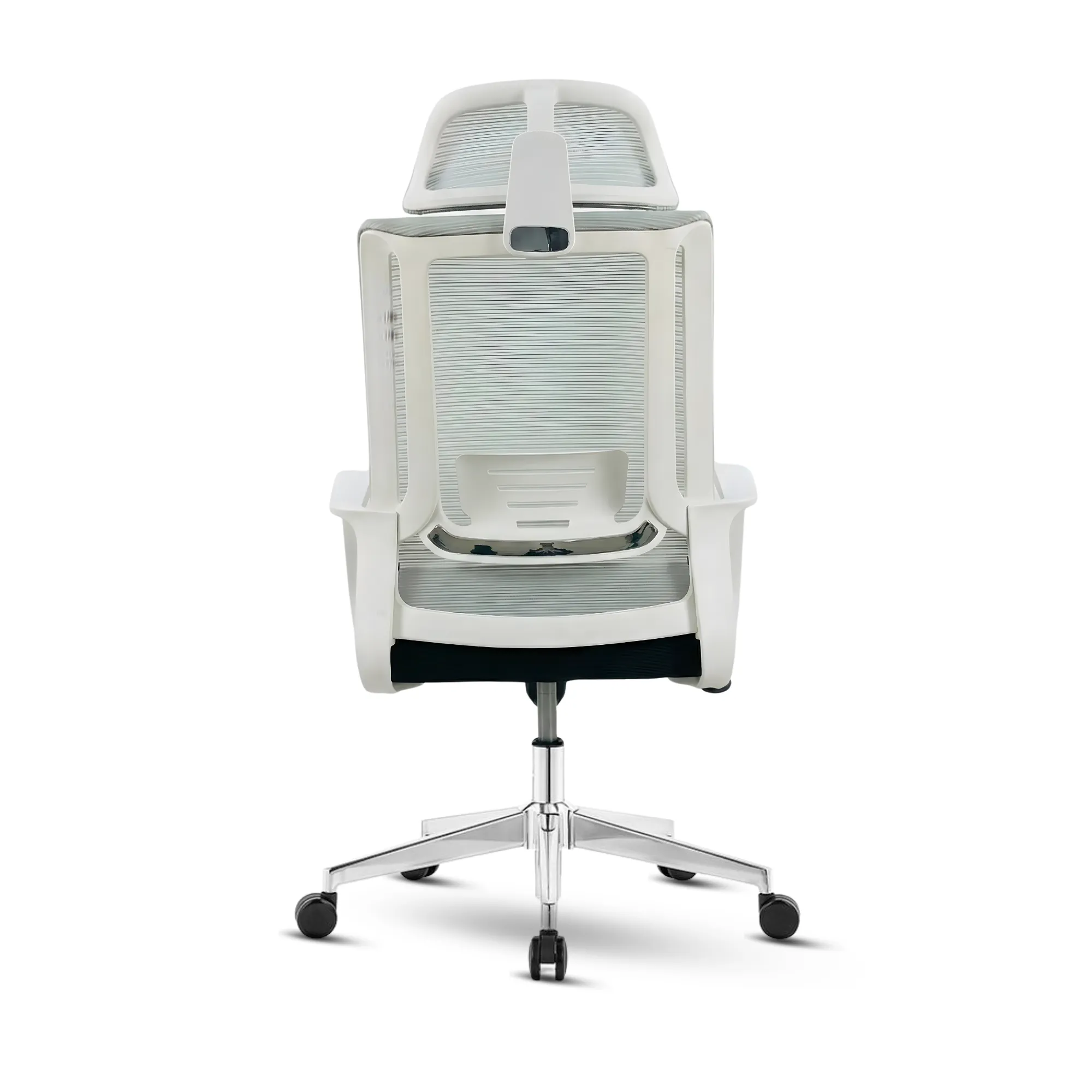 MAXX-M-239 - Image 7