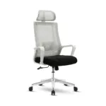 MAXX-M-239