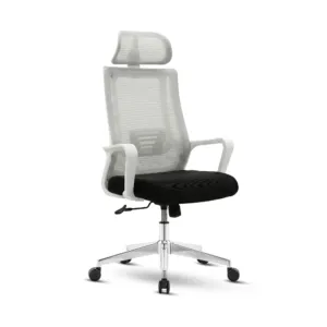 MAXX-M-239