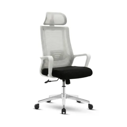 MAXX-M-239