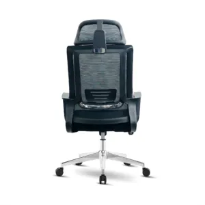 MAXX-M-239 - Image 8