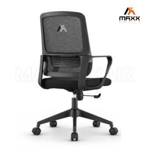 MAXX-E-335 - Image 2