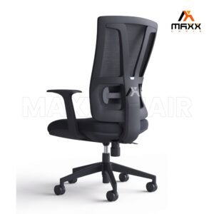 MAXX-E-342 - Image 2